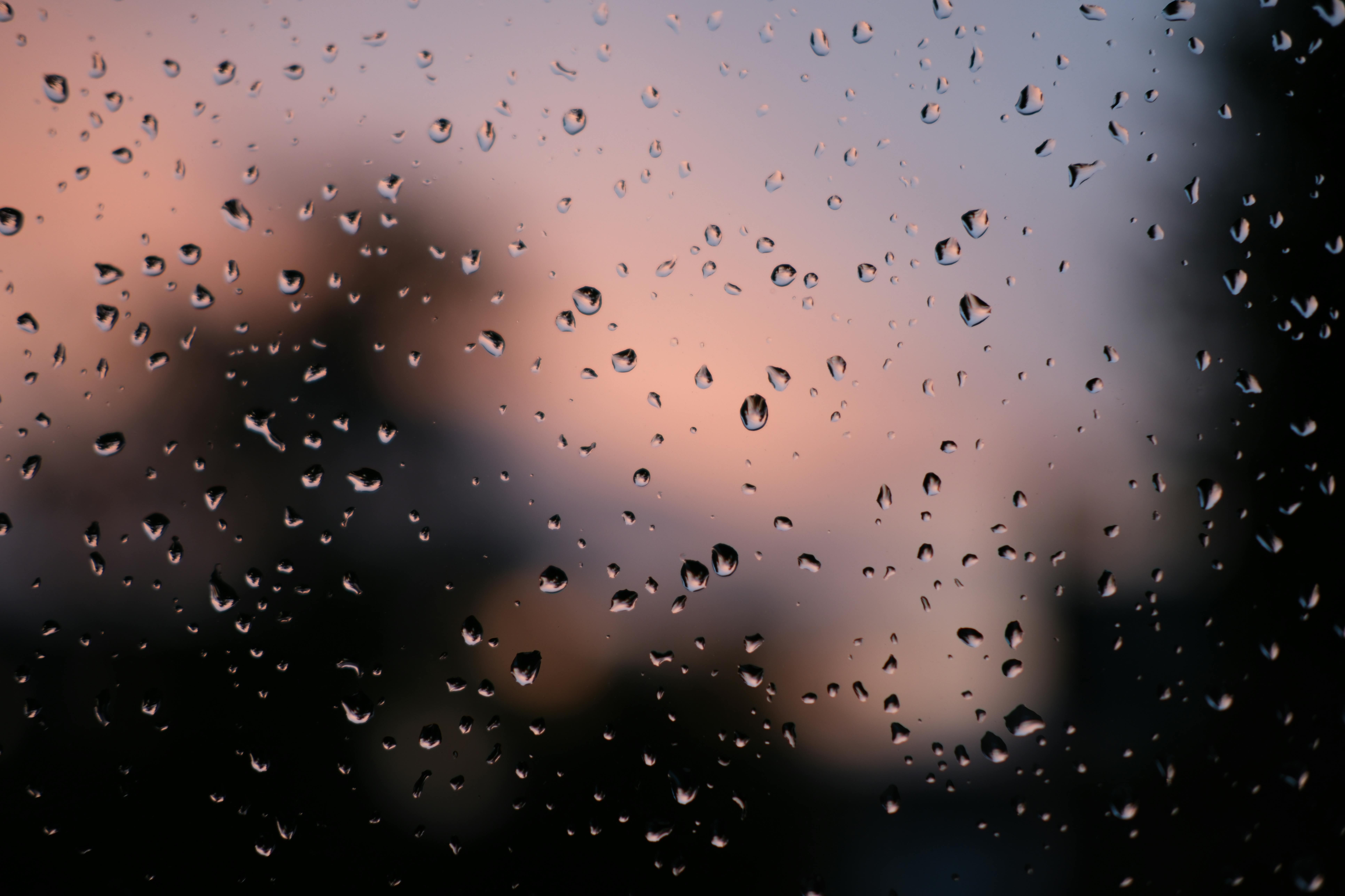 Banner image of the blog